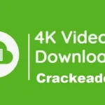 Baixar 4K Video Downloader Crackeado v4.31.1.0092 em PT-BR